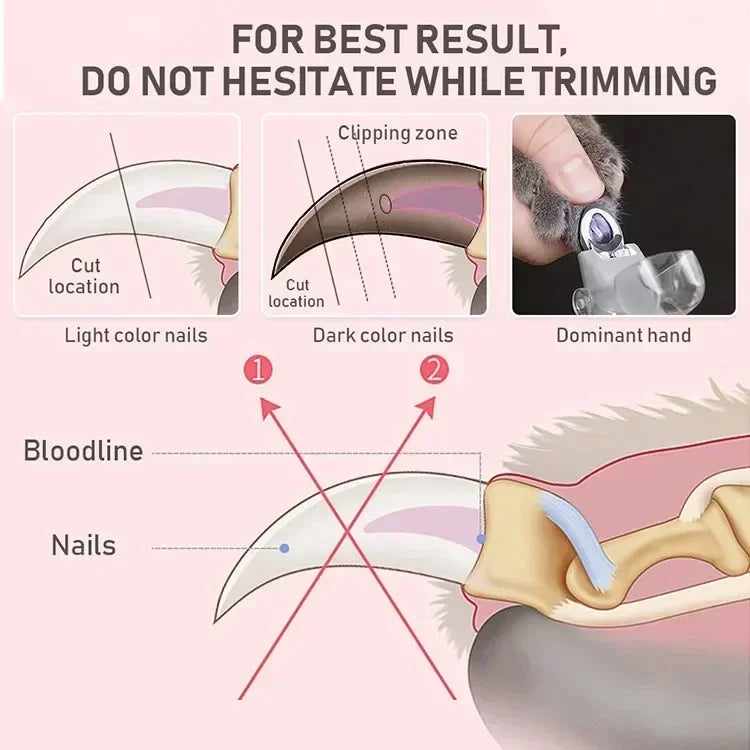 Professional Pet Nail Clipper Scissors With LED Light Cat Dog Nail Clippers Tool Scissors Nail Toeclaw Cutter Scissors Pet Supply