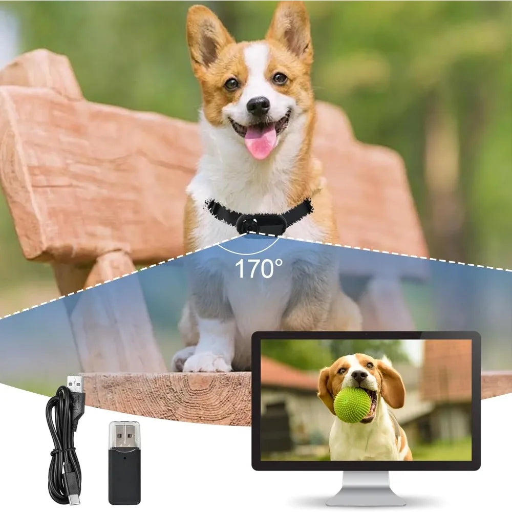 1080p HD Cat Dog Pet Camera Collar with Video Recording Sports Camera Baby Monitor No WiFi Indoor/Outdoor All Activities Pet Sup