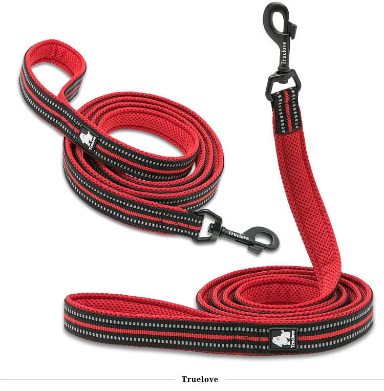 Winhyepet Dog Leash with Padded Handle Training Durable 200cm Luxury Pet Leash for Small Medium Large Dogs accessories