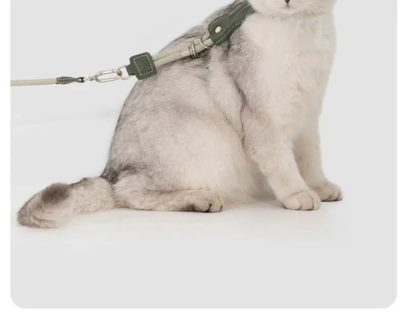 H-Shape Escape Proof Cat Harness and Leash Set Adjustable Breathable Lightweight No Choke Vest for Small Cats Kitten Outdoor Use