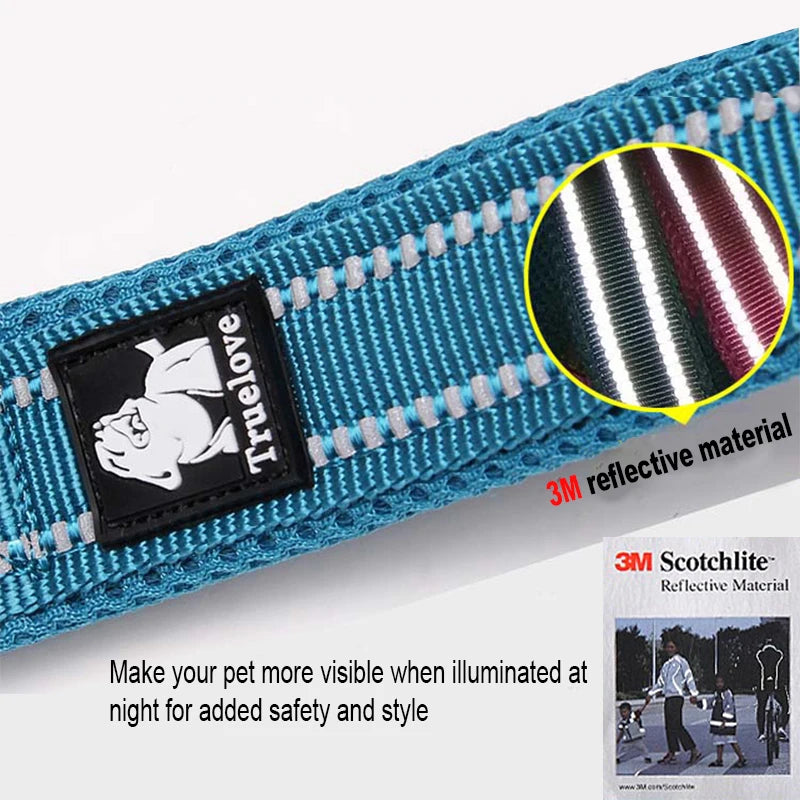 Winhyepet Dog Leash with Padded Handle Training Durable 200cm Luxury Pet Leash for Small Medium Large Dogs accessories