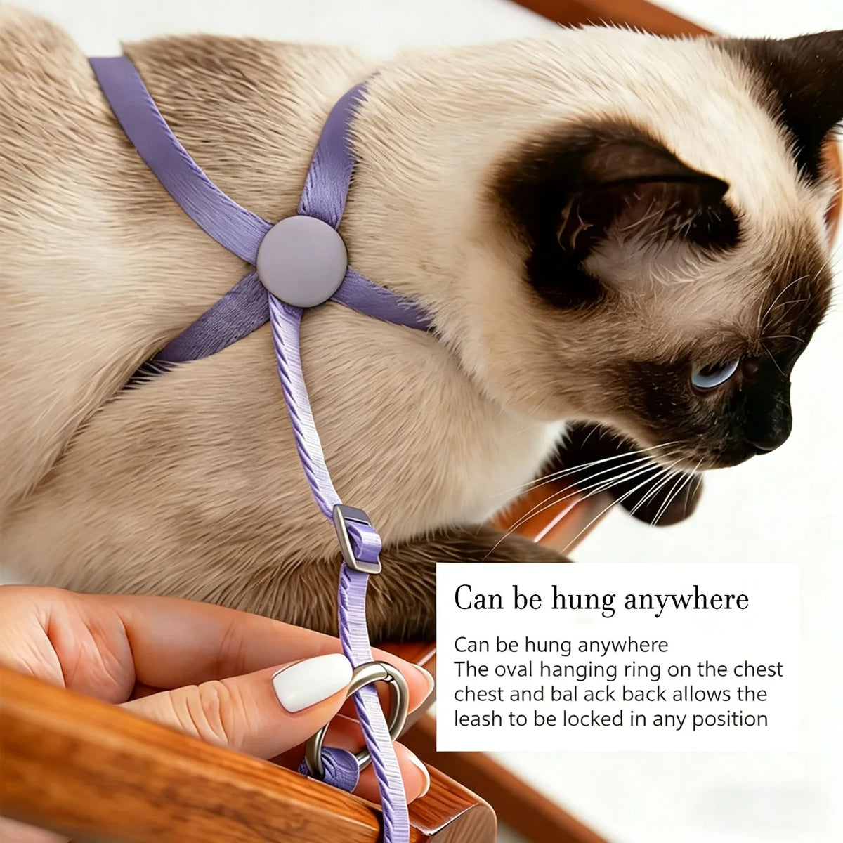 Cat Harness & Leash Set, X-Shape Escape Proof Outdoor Training Walking Vest Harness for Cats, Lightweight,Nylon Rope Small Dogs