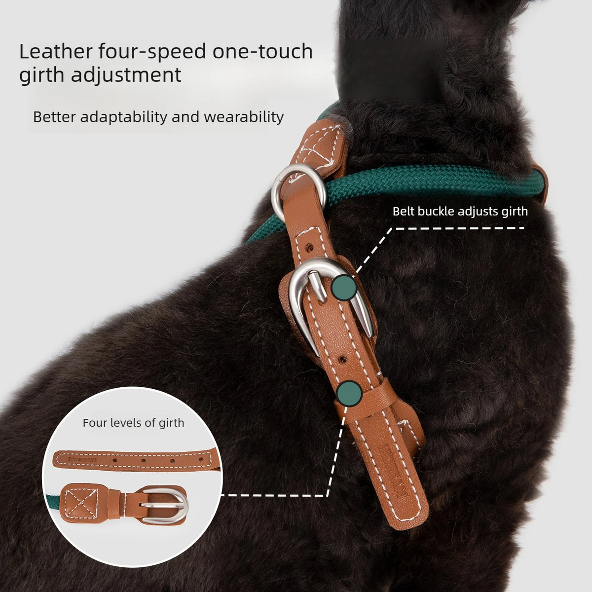 X-Shape Cat Harness And Leash Set Faux Leather Escape Proof Adjustable Pet Walking Vest Lightweight Puppy Outdoor Gear