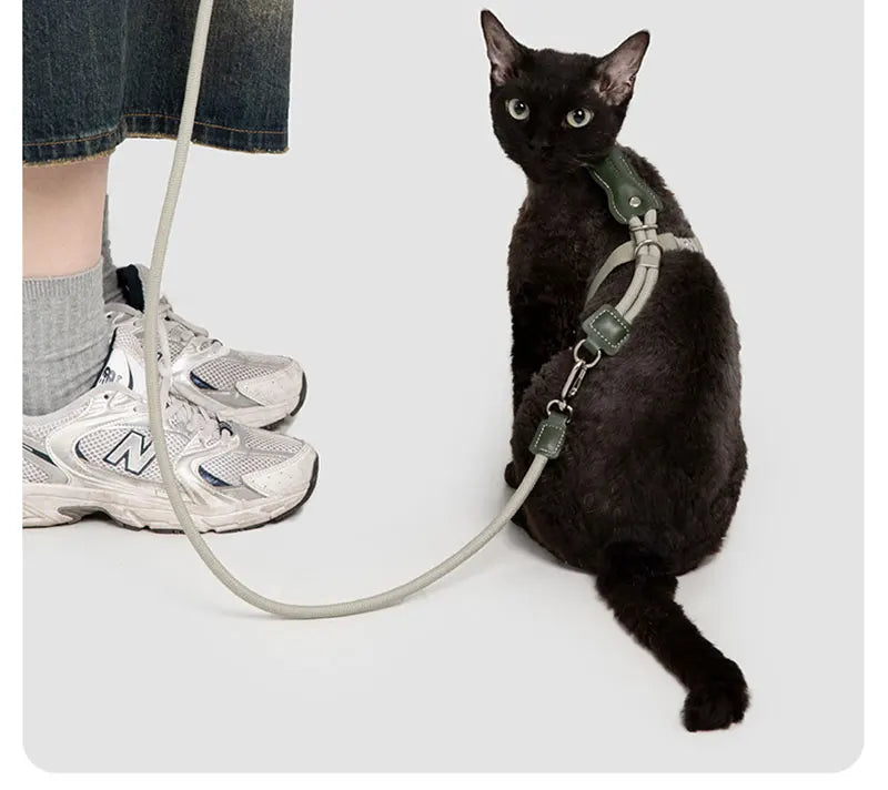 H-Shape Escape Proof Cat Harness and Leash Set Adjustable Breathable Lightweight No Choke Vest for Small Cats Kitten Outdoor Use