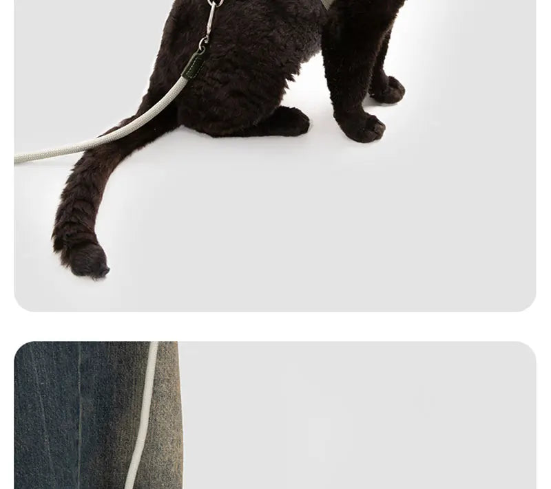 H-Shape Escape Proof Cat Harness and Leash Set Adjustable Breathable Lightweight No Choke Vest for Small Cats Kitten Outdoor Use