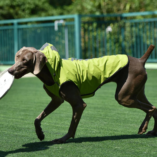 Lightweight Packable Dog Jacket With Reflective Stripes Easy To Put On Dog Stylish And Dry Premium Blue 3XL