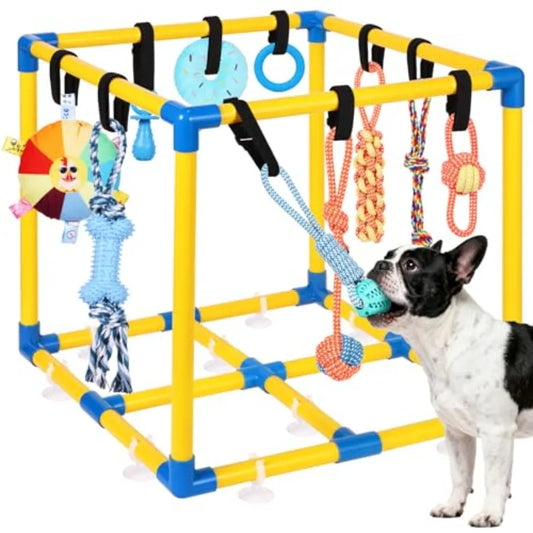 Puppy Play Gym for Small Dogs with 10 Hanging Toys Removable Indoor Jungle Gym PVC Frame with Adjustable Bungee Straps Interact