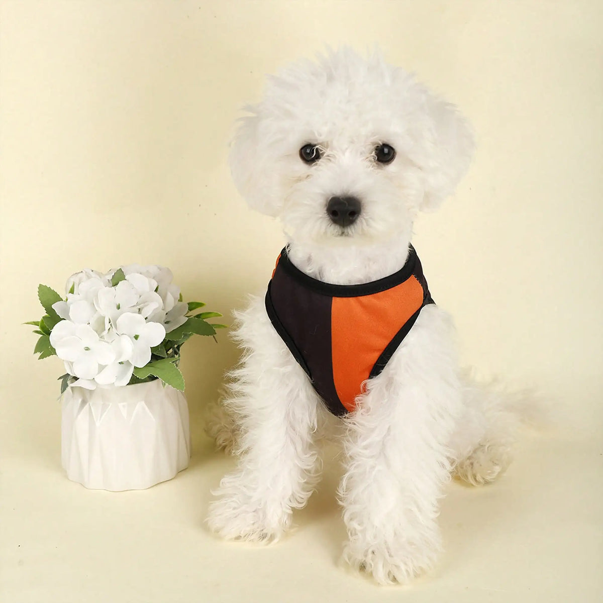 Dog Costume Funny Pumpkin Print Dog Shirt Holiday Apparel For Festival Party Events