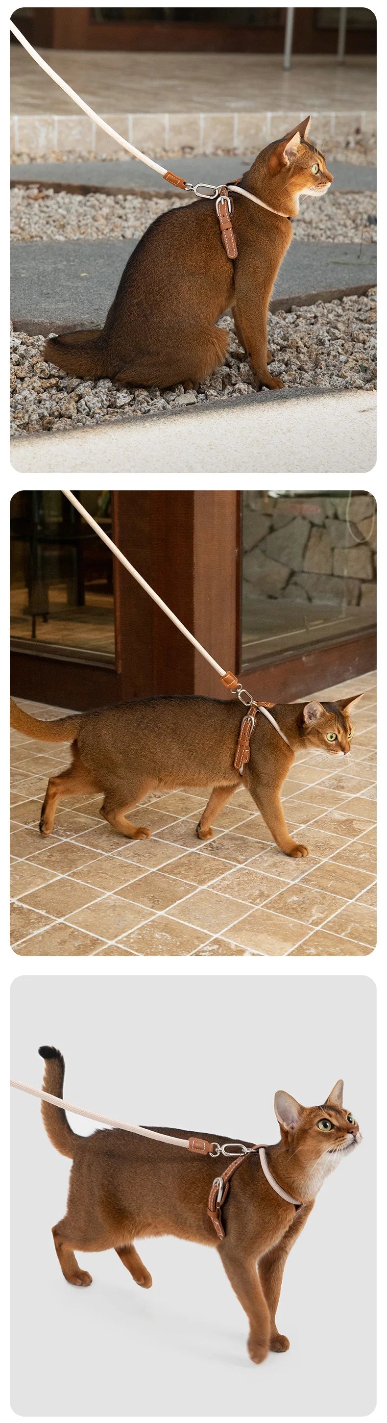 X-Shape Cat Harness And Leash Set Faux Leather Escape Proof Adjustable Pet Walking Vest Lightweight Puppy Outdoor Gear