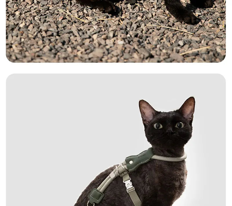 H-Shape Escape Proof Cat Harness and Leash Set Adjustable Breathable Lightweight No Choke Vest for Small Cats Kitten Outdoor Use