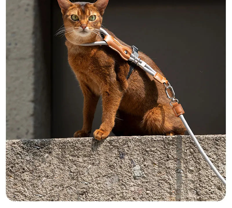 H-Shape Escape Proof Cat Harness and Leash Set Adjustable Breathable Lightweight No Choke Vest for Small Cats Kitten Outdoor Use