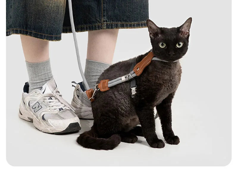 H-Shape Escape Proof Cat Harness and Leash Set Adjustable Breathable Lightweight No Choke Vest for Small Cats Kitten Outdoor Use