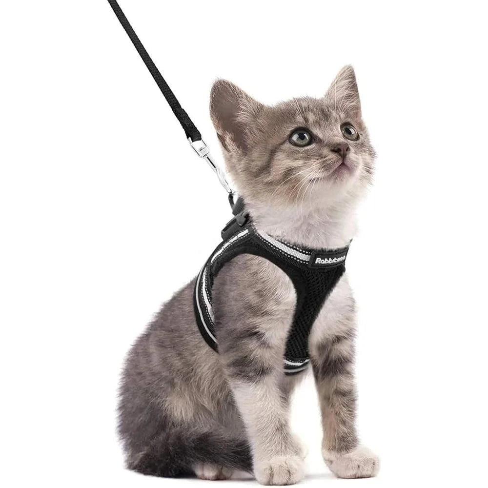 Cat Harness and Leash Set Escape Proof Adjustable Soft Vest Reflective Strip Comfortable Outdoor Walking Kittens Pets