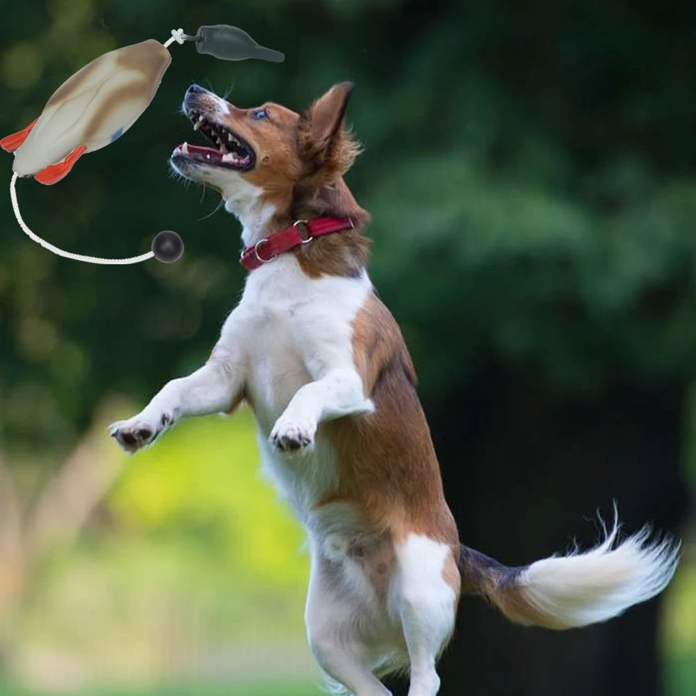 Pet Dog Training Fake Duck The Bird Dummy Teaches Mallard Waterfowl Game Retrieval Duck Bite Chewing Toys Perfect Size For All
