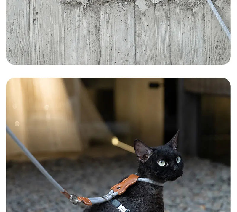 H-Shape Escape Proof Cat Harness and Leash Set Adjustable Breathable Lightweight No Choke Vest for Small Cats Kitten Outdoor Use