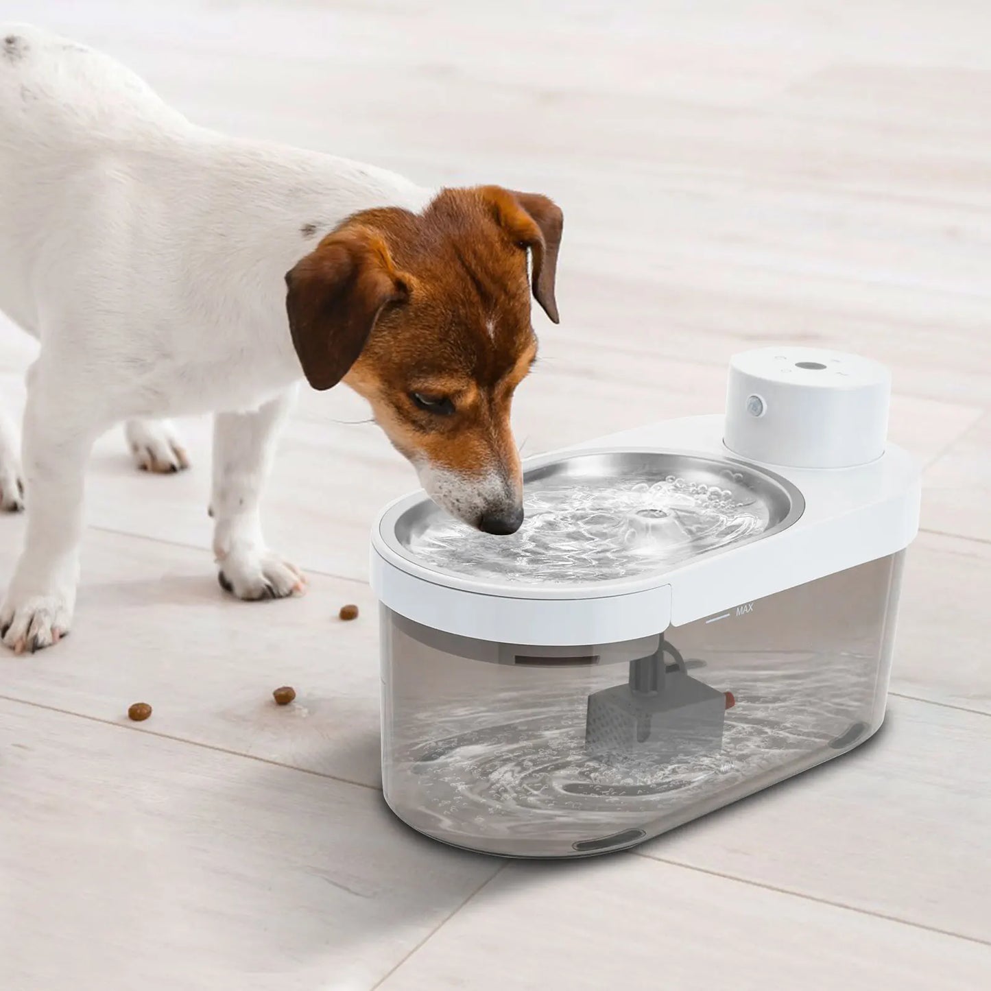 Pet Water Dispenser 5L|Automatic Cat Water Fountain with Filter Pump|Large Capacity Water Bowl for Cats and Dogs