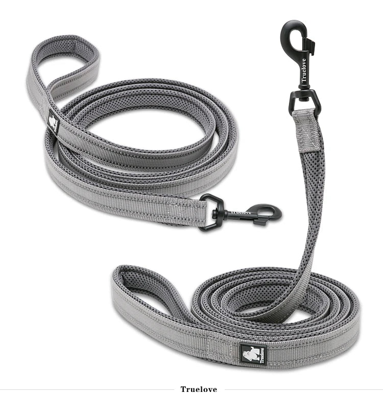 Winhyepet Dog Leash with Padded Handle Training Durable 200cm Luxury Pet Leash for Small Medium Large Dogs accessories