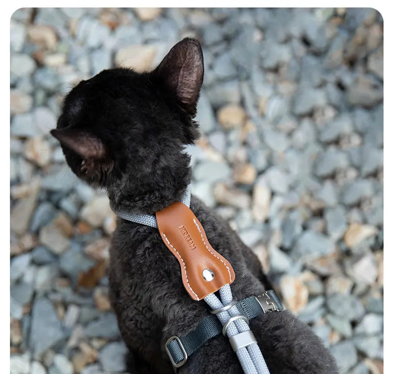 H-Shape Escape Proof Cat Harness and Leash Set Adjustable Breathable Lightweight No Choke Vest for Small Cats Kitten Outdoor Use