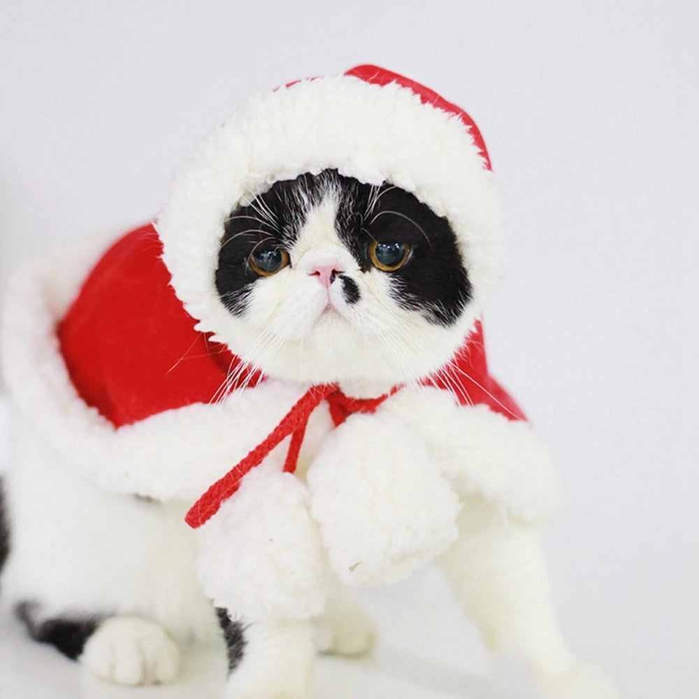 Pet Cat Dog Cape Change Into Santa Cape Deer Red Riding Hood Warm Plush Kawaii Comfortable Windproof Repeat Costume