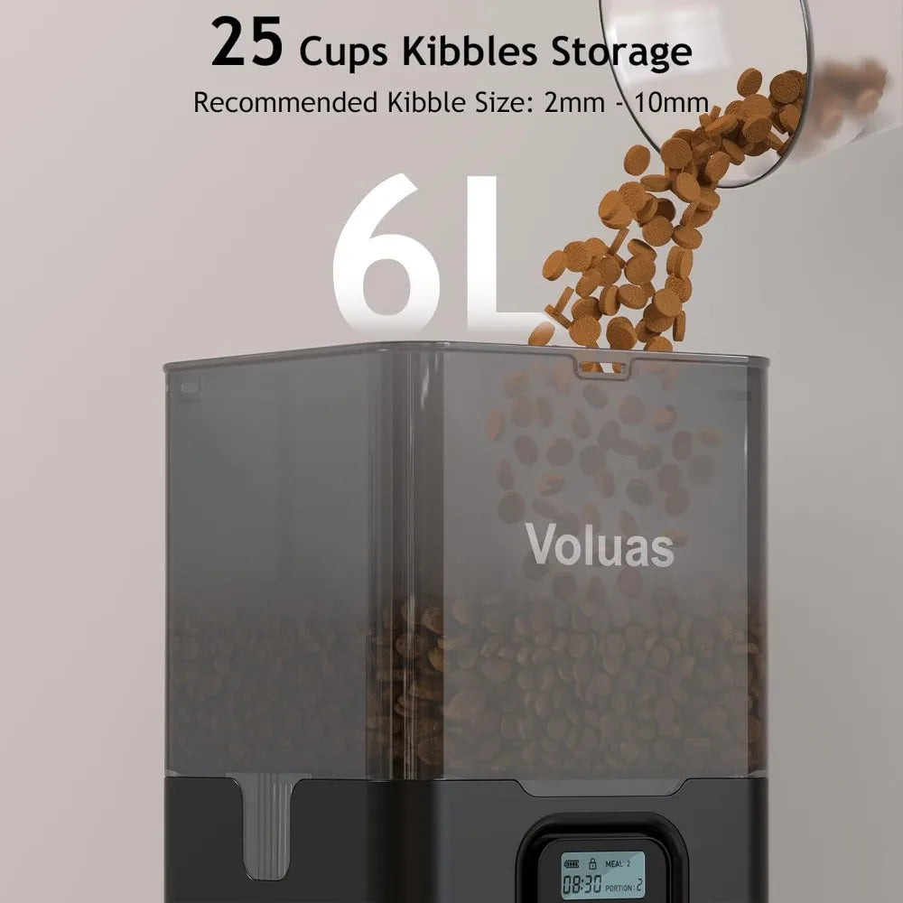 Automatic Cat Feeder for Two Cats, Double Pet Feeder with 2 Stainless Steel Bowls,6L Timed Cat Feeders with Memory Function