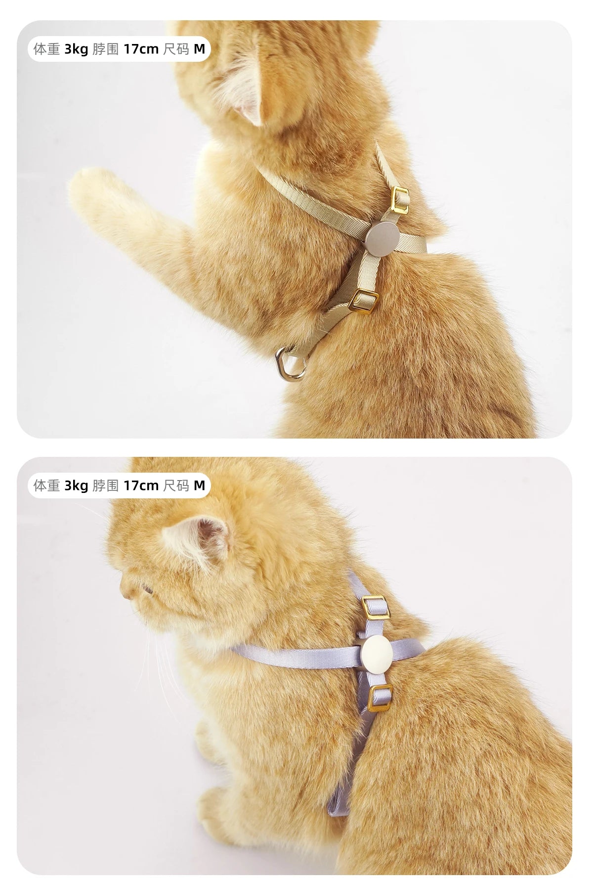 Cat Harness & Leash Set, X-Shape Escape Proof Outdoor Training Walking Vest Harness for Cats, Lightweight,Nylon Rope Small Dogs