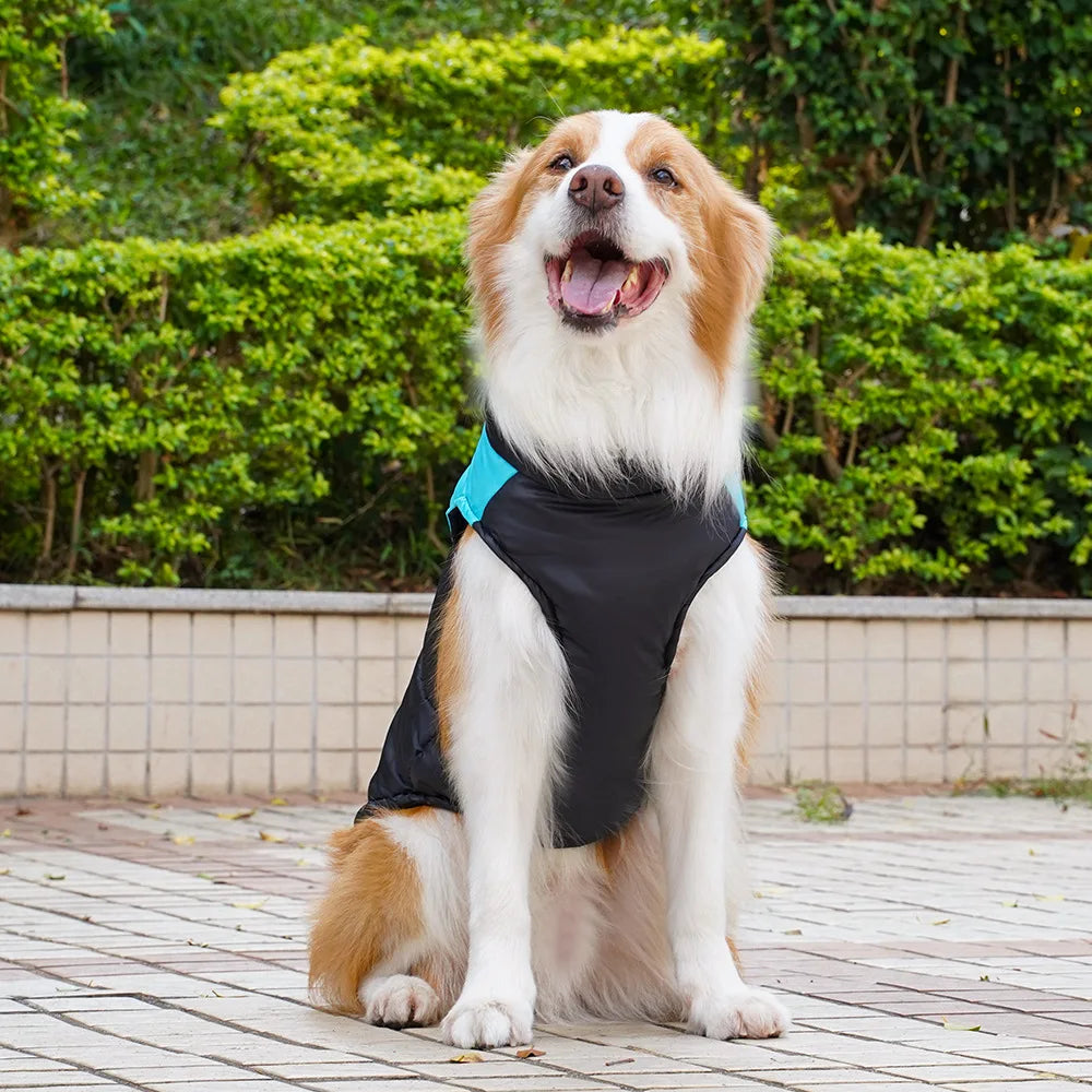 Pet Clothing Autumn/Winter Dog Outing Cotton Vest Dog Cat Golden Retriever Large Dog Cat Clothing Wholesale Straps