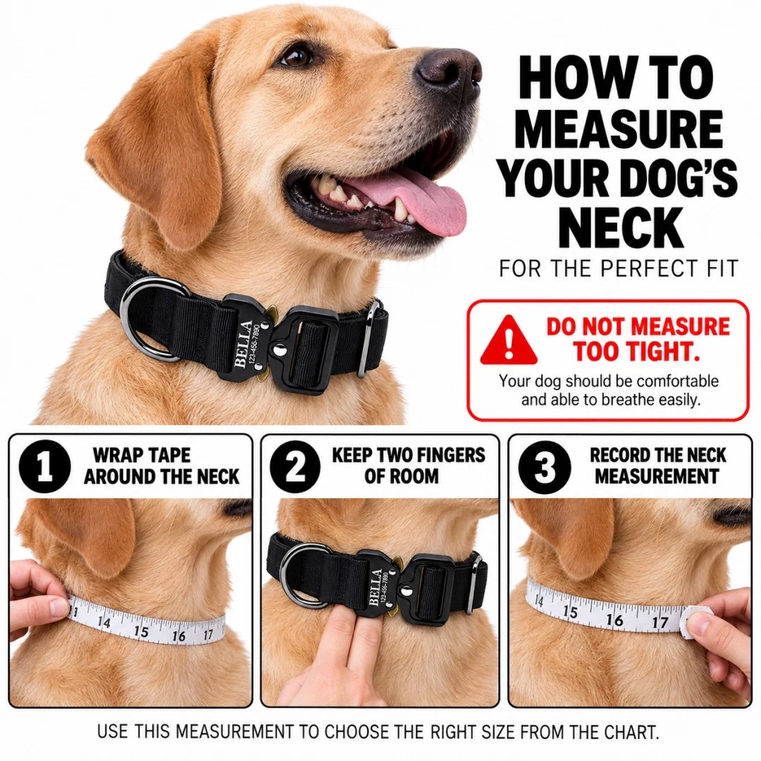 Laser Lettering Tactical Dog Collar, Support Name and Phone Customization, Nylon Material Is Suitable for Medium and Large Dogs