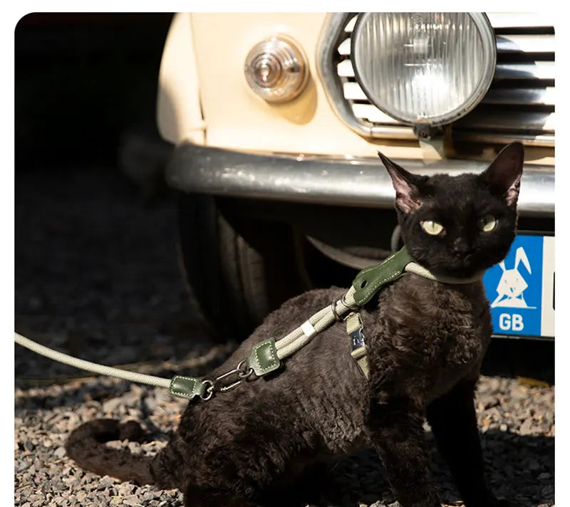H-Shape Escape Proof Cat Harness and Leash Set Adjustable Breathable Lightweight No Choke Vest for Small Cats Kitten Outdoor Use