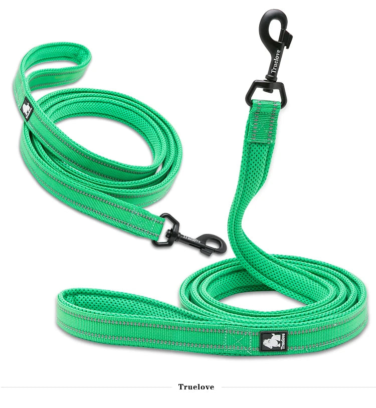 Winhyepet Dog Leash with Padded Handle Training Durable 200cm Luxury Pet Leash for Small Medium Large Dogs accessories