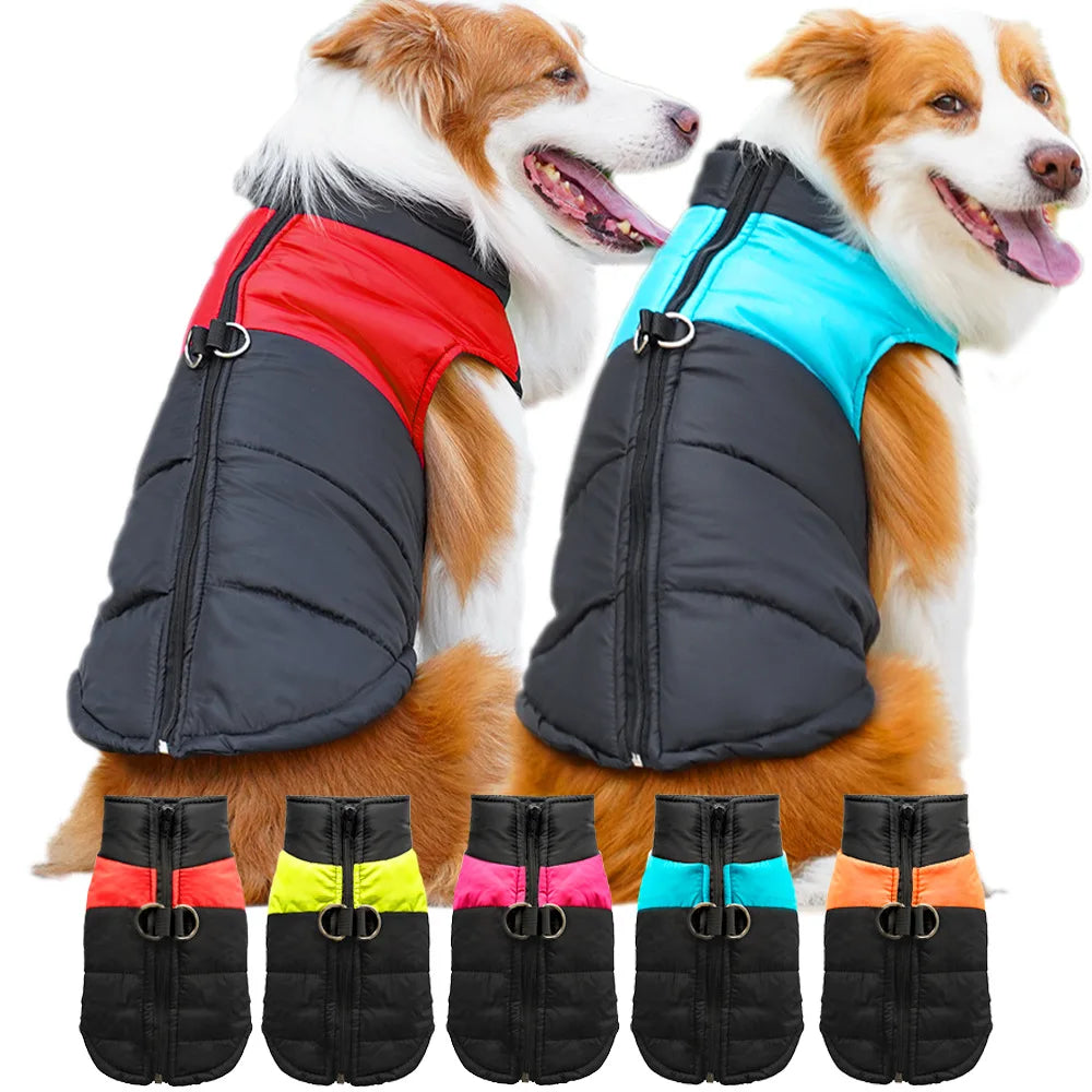 Pet Clothing Autumn/Winter Dog Outing Cotton Vest Dog Cat Golden Retriever Large Dog Cat Clothing Wholesale Straps