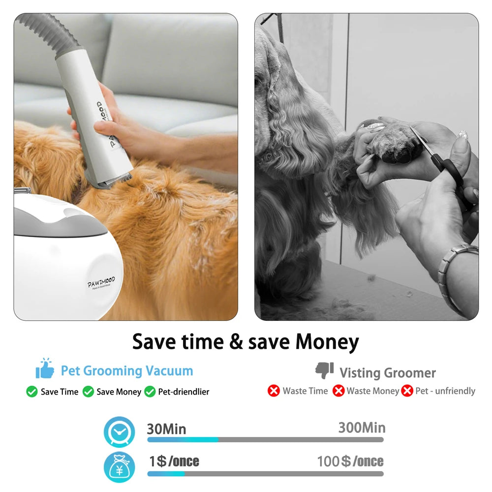 5 in 1 Dog Cat Pet Grooming Vacuum Brush 13000pa 2L Dust Cup Shedding Pet Hair Home Cleaning Kit Strong Suction