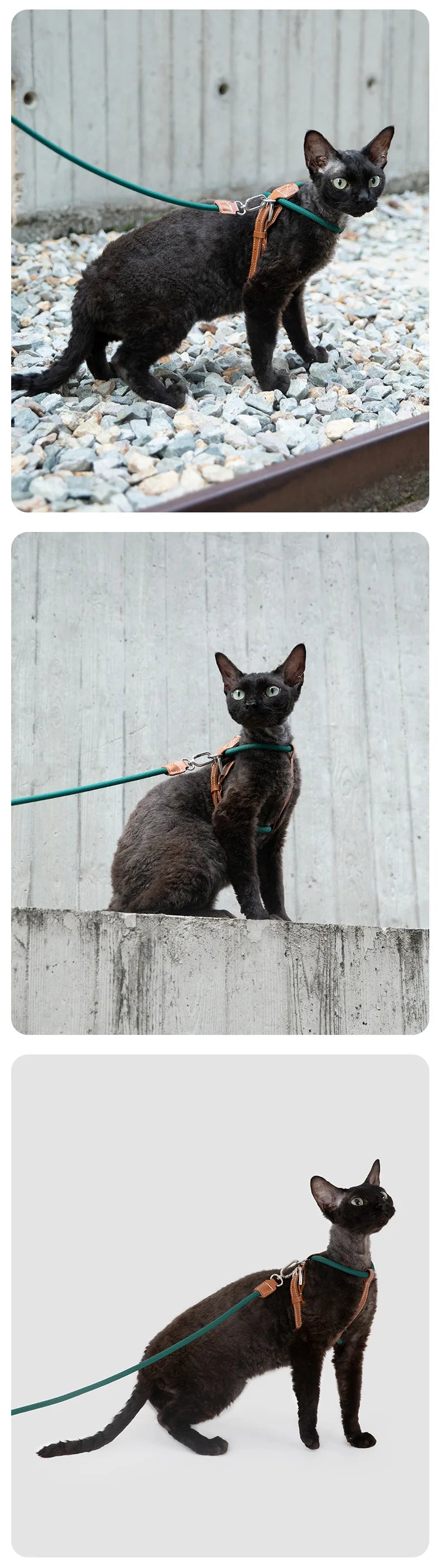 X-Shape Cat Harness And Leash Set Faux Leather Escape Proof Adjustable Pet Walking Vest Lightweight Puppy Outdoor Gear