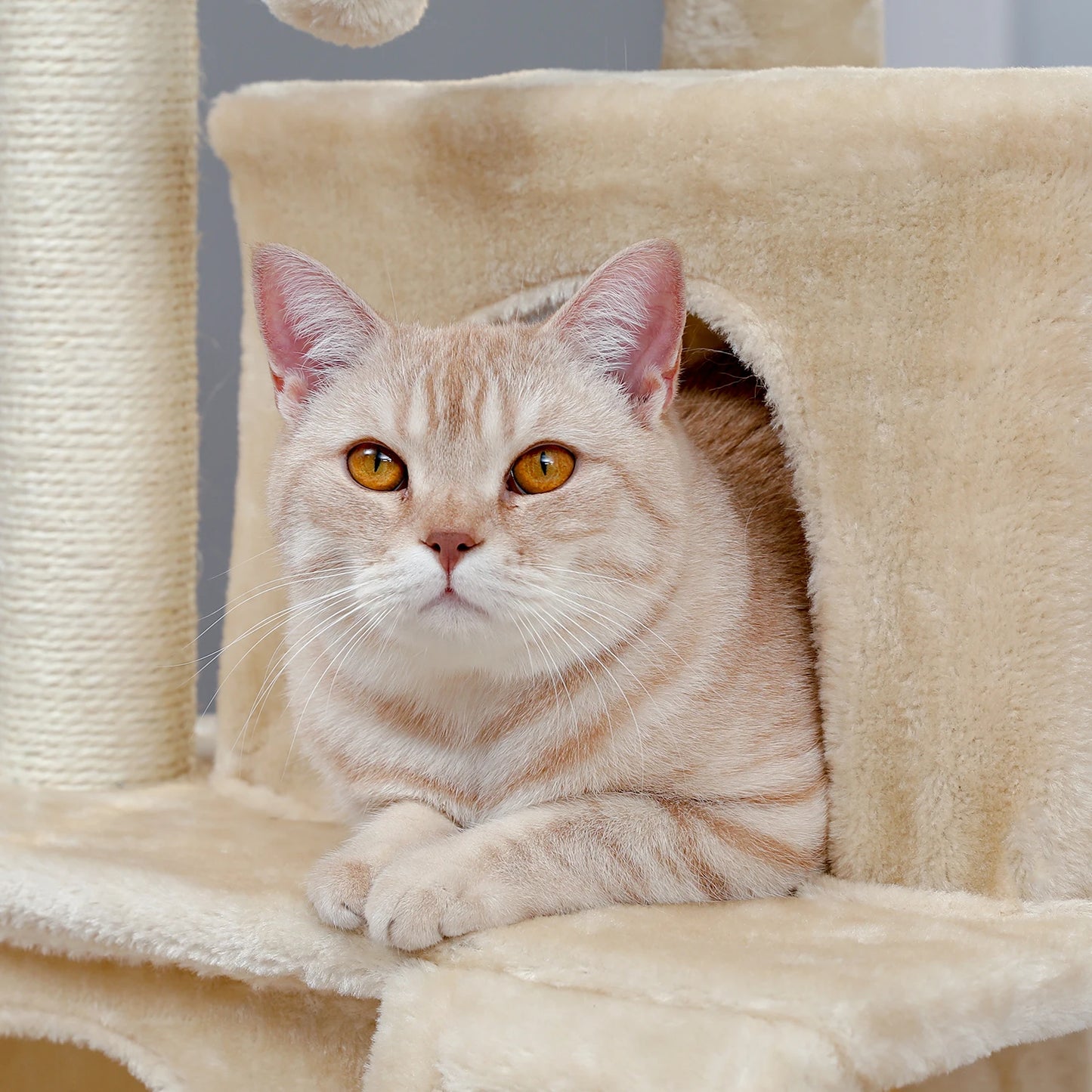 Wooden Cat Tower with Double Condos Spacious Perch Fully Wrapped Scratching Sisal Posts and Replaceable Dangling Balls