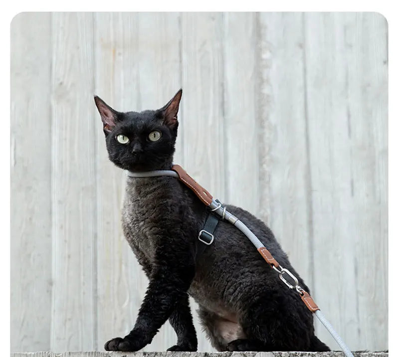 H-Shape Escape Proof Cat Harness and Leash Set Adjustable Breathable Lightweight No Choke Vest for Small Cats Kitten Outdoor Use