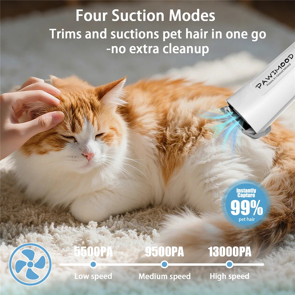 5 in 1 Dog Cat Pet Grooming Vacuum Brush 13000pa 2L Dust Cup Shedding Pet Hair Home Cleaning Kit Strong Suction