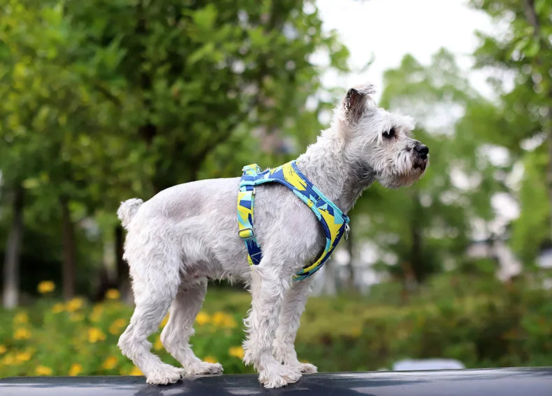 New Dog Cat Harness Adjustable Vest Walking Lead Leash For Puppy Dogs Collar Polyester Mesh Harness For Small Medium Dog Cat Pet