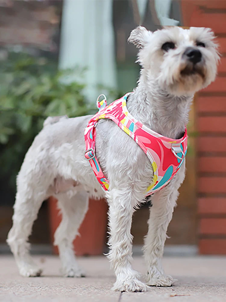 New Dog Cat Harness Adjustable Vest Walking Lead Leash For Puppy Dogs Collar Polyester Mesh Harness For Small Medium Dog Cat Pet
