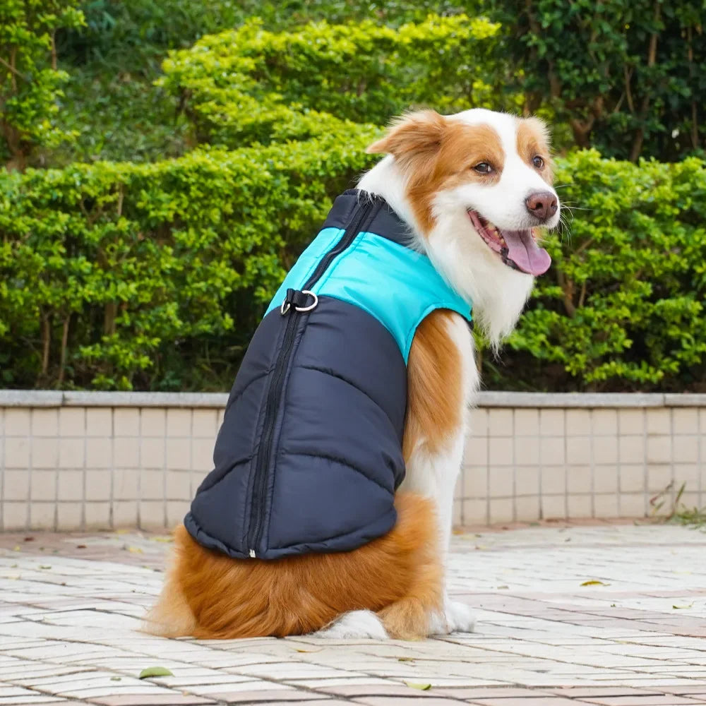 Pet Clothing Autumn/Winter Dog Outing Cotton Vest Dog Cat Golden Retriever Large Dog Cat Clothing Wholesale Straps