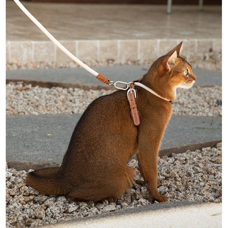 X-Shape Cat Harness And Leash Set Faux Leather Escape Proof Adjustable Pet Walking Vest Lightweight Puppy Outdoor Gear