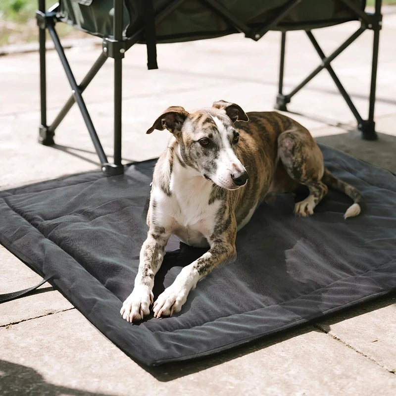 Pet Dog Picnic Travel Mat Waterproof Foldable Portable Bed Blankets Outdoor Universal All Breeds Dog Lightweight Camping Mat