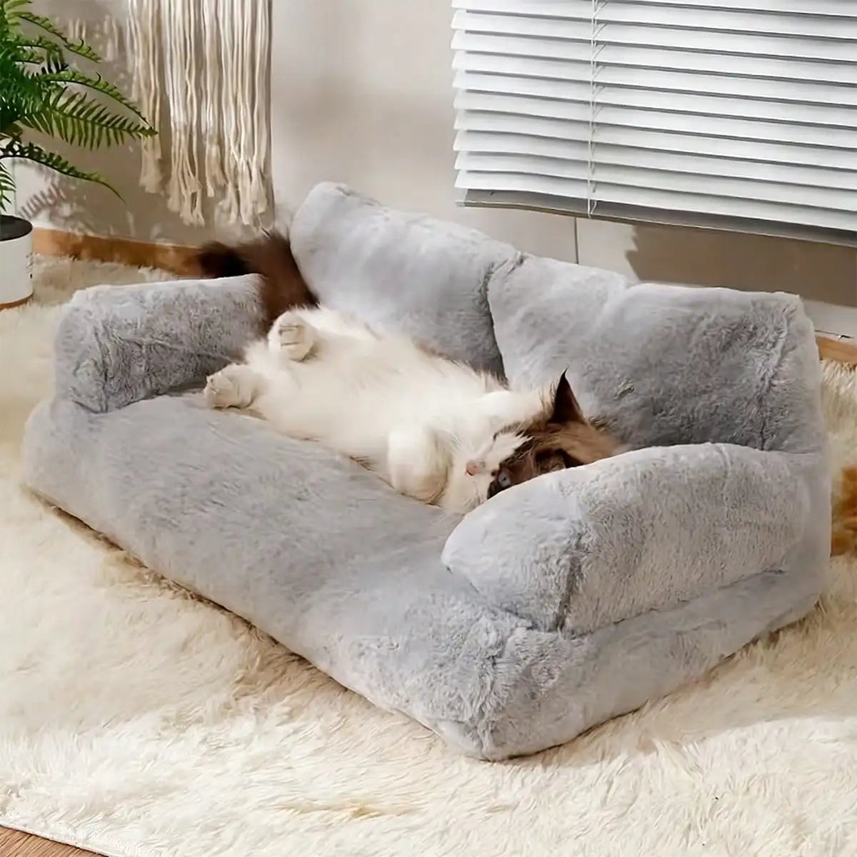 Cozy Plush Dog Sofa Bed for Medium Dogs and Cats, Raised Edge Washable Pet Couch with Non-Slip Bottom for Indoor Lounging