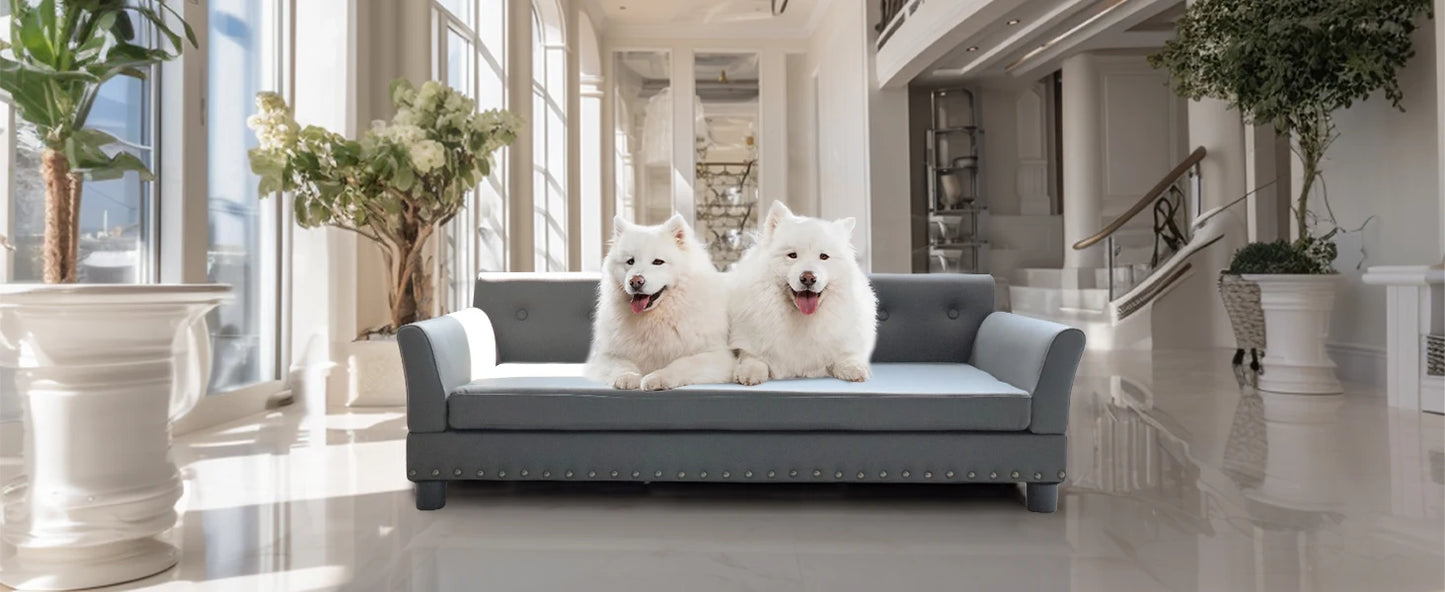 BINGOPAW Rectangle Pet Bed for Medium and Large Dogs, Durable Elevated Dog Sofa Bed, Comfortable Dog Couch, Modern Dog Sofa