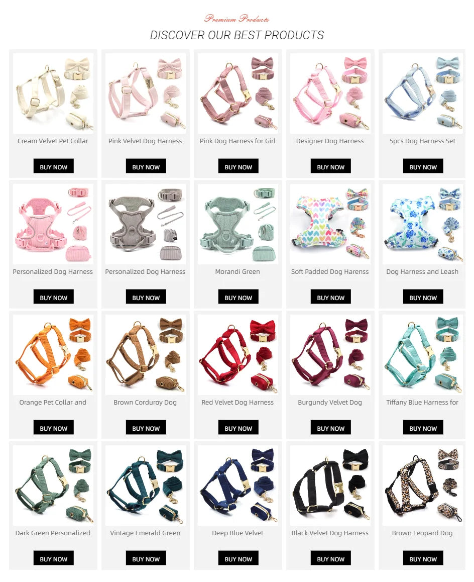 Honey Peach Pattern Dog Collar Personalized Fruit Collection Luxury Bowtie Dog Collar and Leash Set with Poop Bag Pet Cat Collar