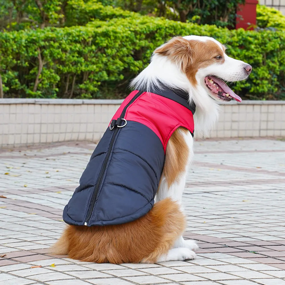 Pet Clothing Autumn/Winter Dog Outing Cotton Vest Dog Cat Golden Retriever Large Dog Cat Clothing Wholesale Straps