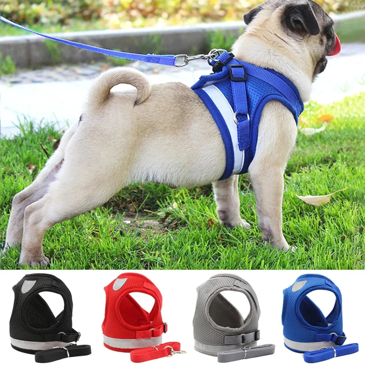 Pet Dog Cat Harness with Adjustable Leash Reflective Safety Mesh Chest Strap Collar  Small Medium Dogs Vest Set XS/S/M/L/XL