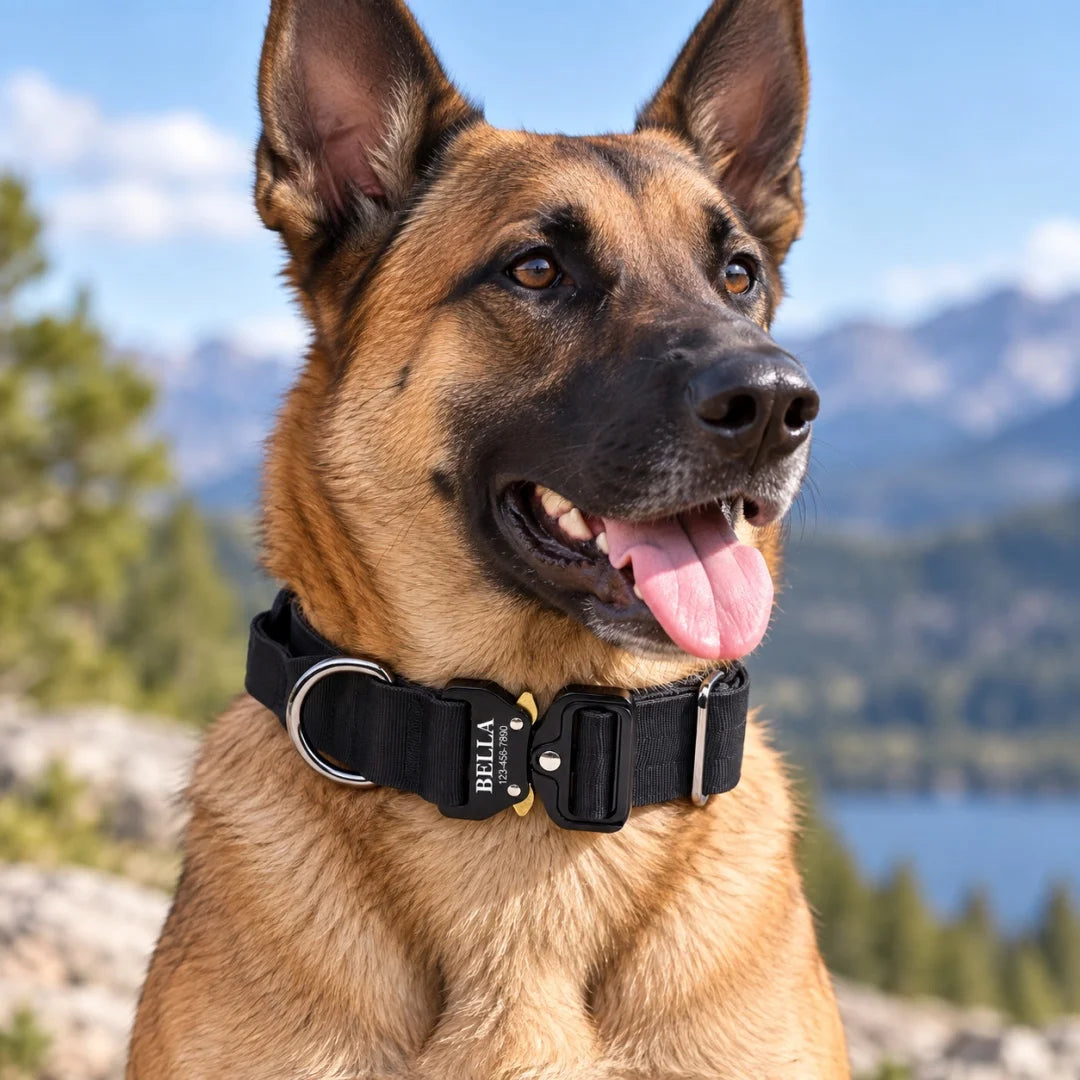 Laser Lettering Tactical Dog Collar, Support Name and Phone Customization, Nylon Material Is Suitable for Medium and Large Dogs
