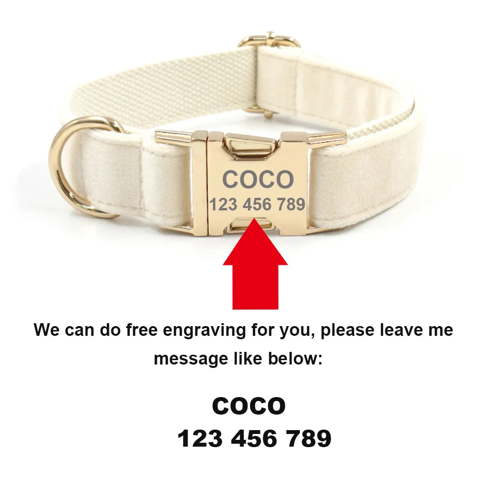 Honey Peach Pattern Dog Collar Personalized Fruit Collection Luxury Bowtie Dog Collar and Leash Set with Poop Bag Pet Cat Collar