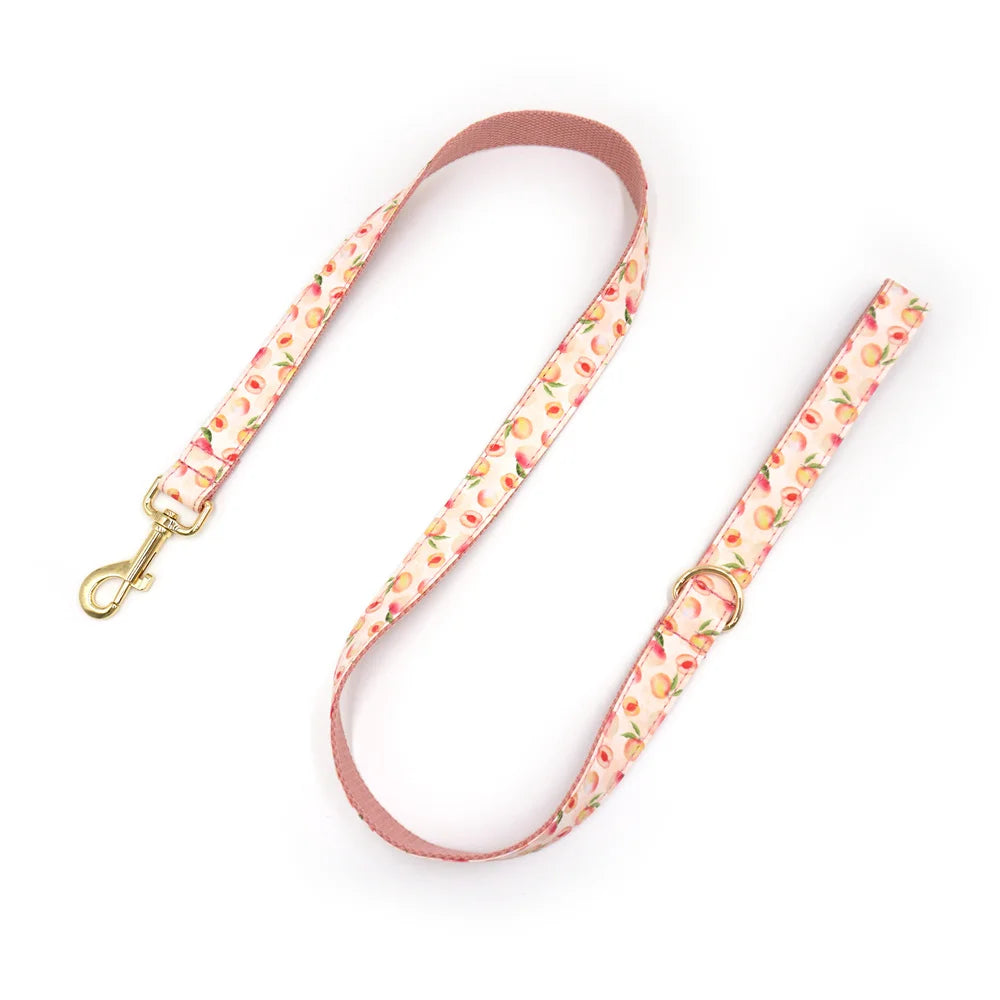 Honey Peach Pattern Dog Collar Personalized Fruit Collection Luxury Bowtie Dog Collar and Leash Set with Poop Bag Pet Cat Collar