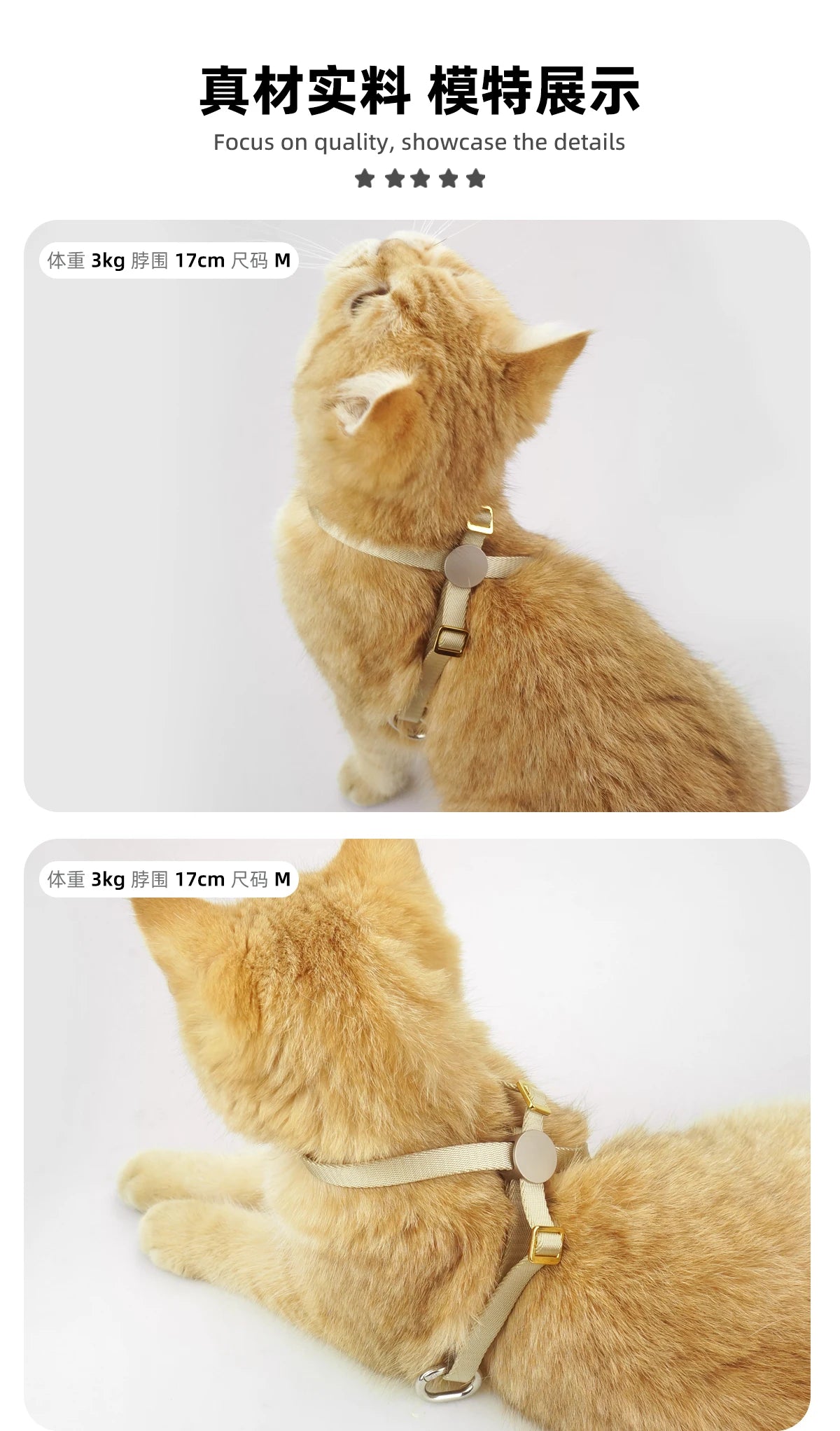 Cat Harness & Leash Set, X-Shape Escape Proof Outdoor Training Walking Vest Harness for Cats, Lightweight,Nylon Rope Small Dogs