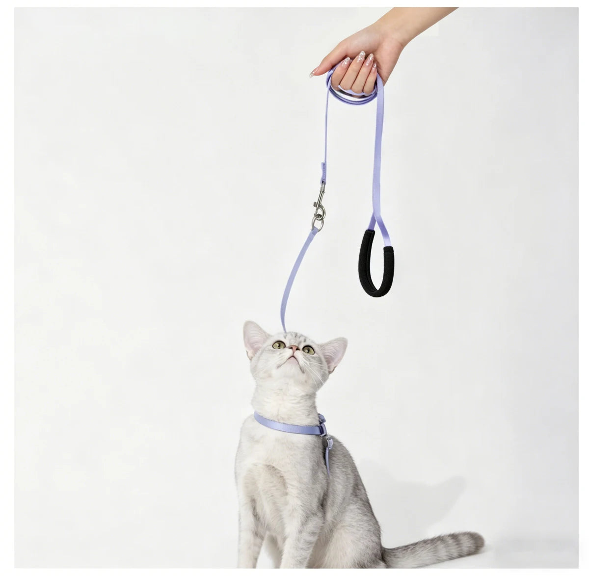 Cat Harness & Leash Set, X-Shape Escape Proof Outdoor Training Walking Vest Harness for Cats, Lightweight,Nylon Rope Small Dogs